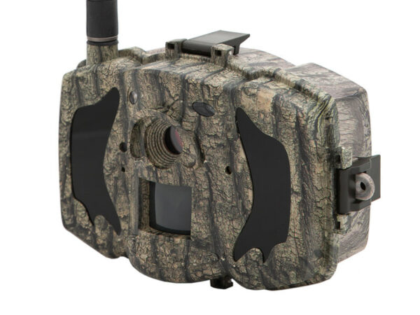 Boly Guard MG984G-36M riistakamera 4G, FHD, camo - Image 2