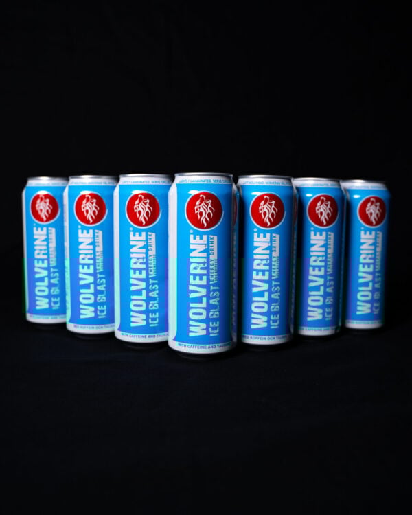 Wolverine Ice Blast energiajuoma 24 x 500ml